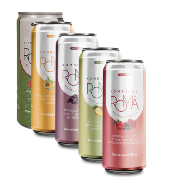 Romá Kombucha - Sabores Sortidos - Image 2