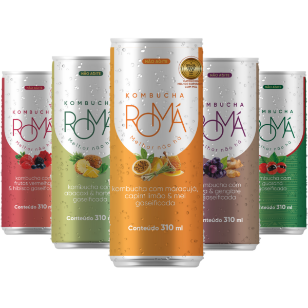 Romá Kombucha - Sabores Sortidos